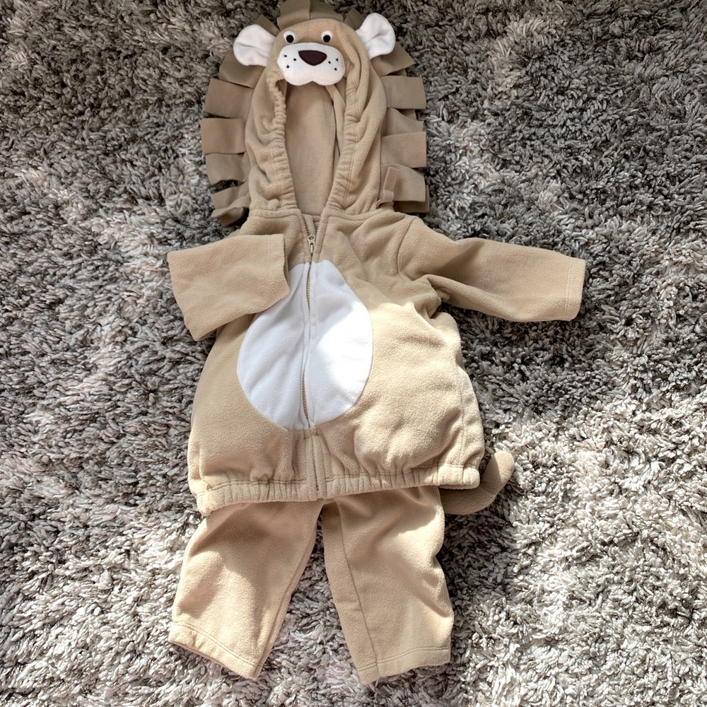 Carter’s little Lion Halloween custom - Picture 1 of 5